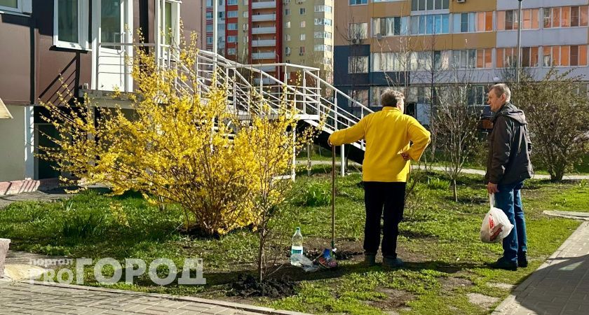 "Пенсионный возраст повышают до 70 лет": Госдума "осчастливила" россиян новым заявлением по пенсиям в РФ