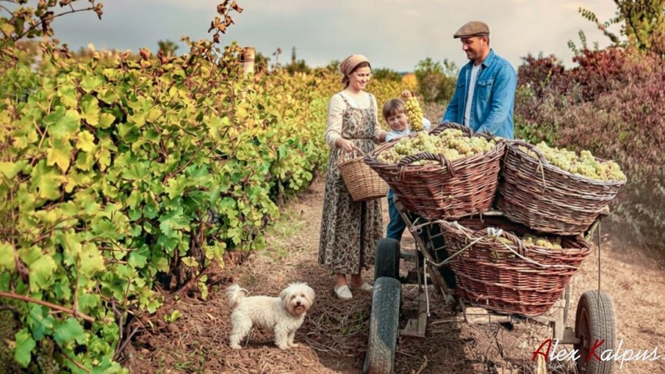Грузинская кухня: Вдохновение из далекого прошлого