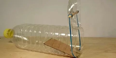 Эффективный способ избавления от мышей с помощью пластиковой бутылки
