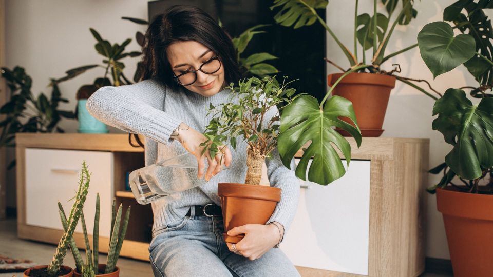 Этот чудо-эликсир спасет увядающие растения: готовится из того, что есть на кухне