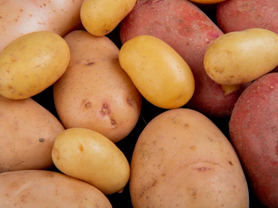 Когда и как сажать картофель в 2025 году: советы и рекомендации