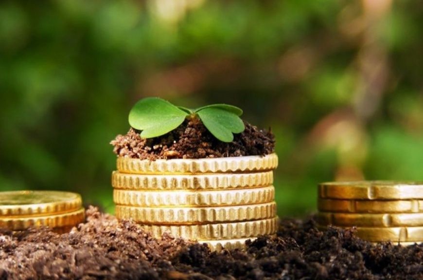 Как снизить земельный налог для льготников: важные шаги и обновленные правила