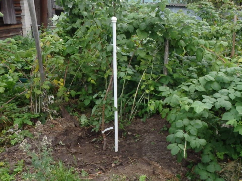 ��� ������ �������� ������� � ������� ����������