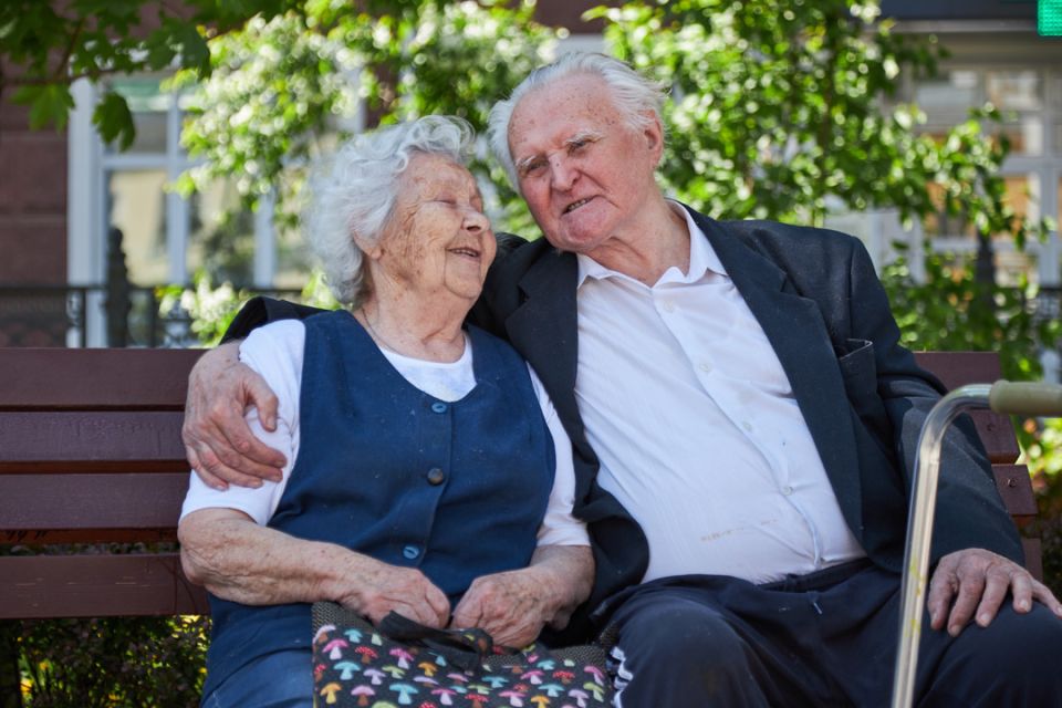 ����� ������ ���� ��������� ������: ��� ������ �������� � ��������