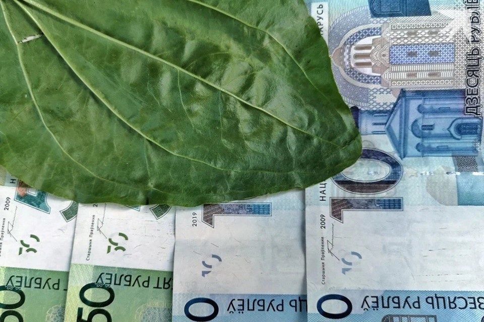 � ������ ����������� ����� ������� ���������� ����������