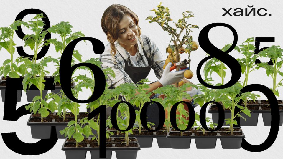 ��� �������� �� ������ ������ � ������: ������ � ���������