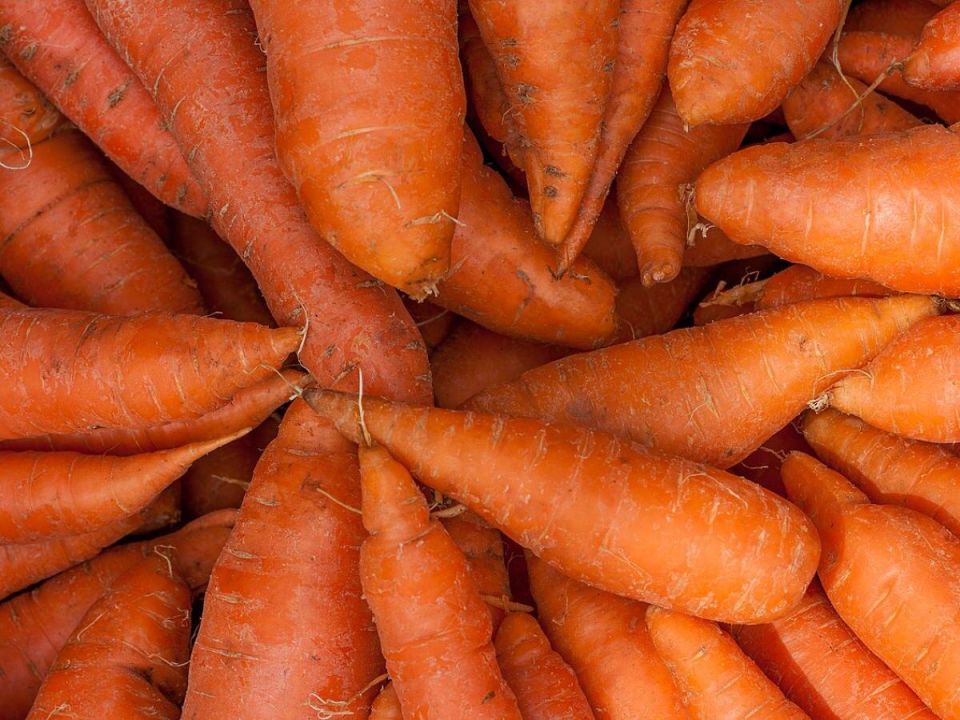 ��� ��������� ���� �������: ������ �� ������ � ��������� �����