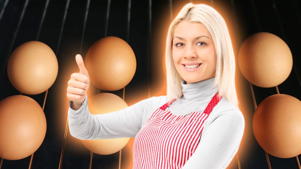 ���� �� �������: ���� ������ ��������, ����� �� ��� ����� ����������� �����