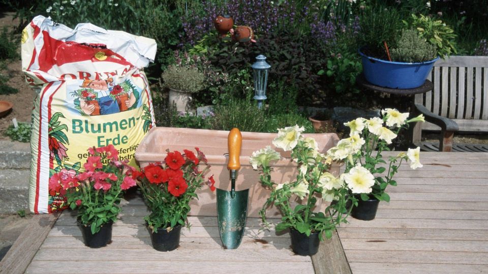 �� ���������� � �������� ������ ���������� � ���� ���: ��� ��� ������������ �����