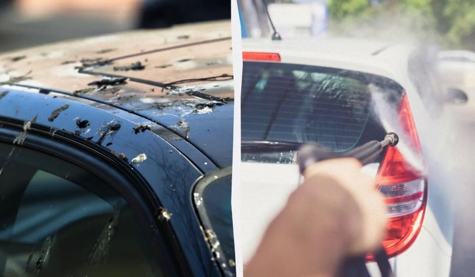 ��� �������� ���� ���������� �� �������� ������: ������� ������� � ��������