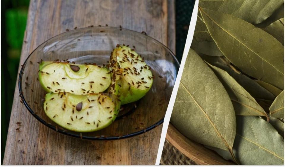 ��� �������� �����: ������� ��� �����