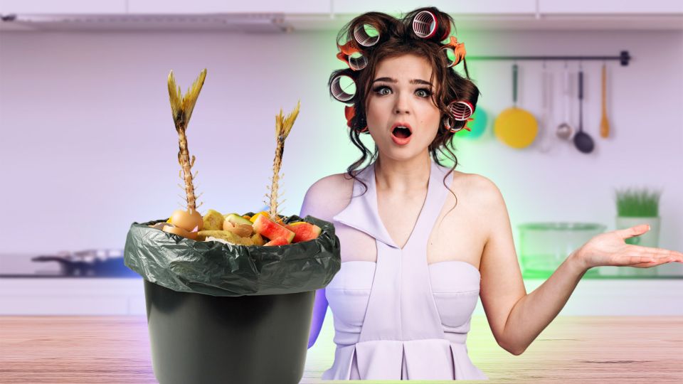 ����������� ������ ��������� �� ���������: ����� ���������� ������� ����������� � �������