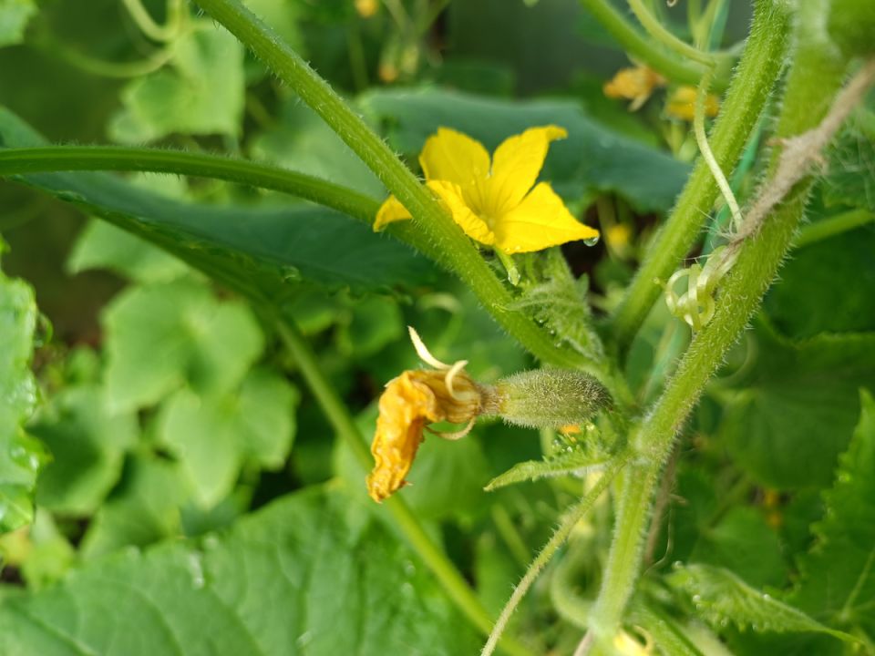 � ������� ���� ���� ���� ����: ��������� ����� �������� ������