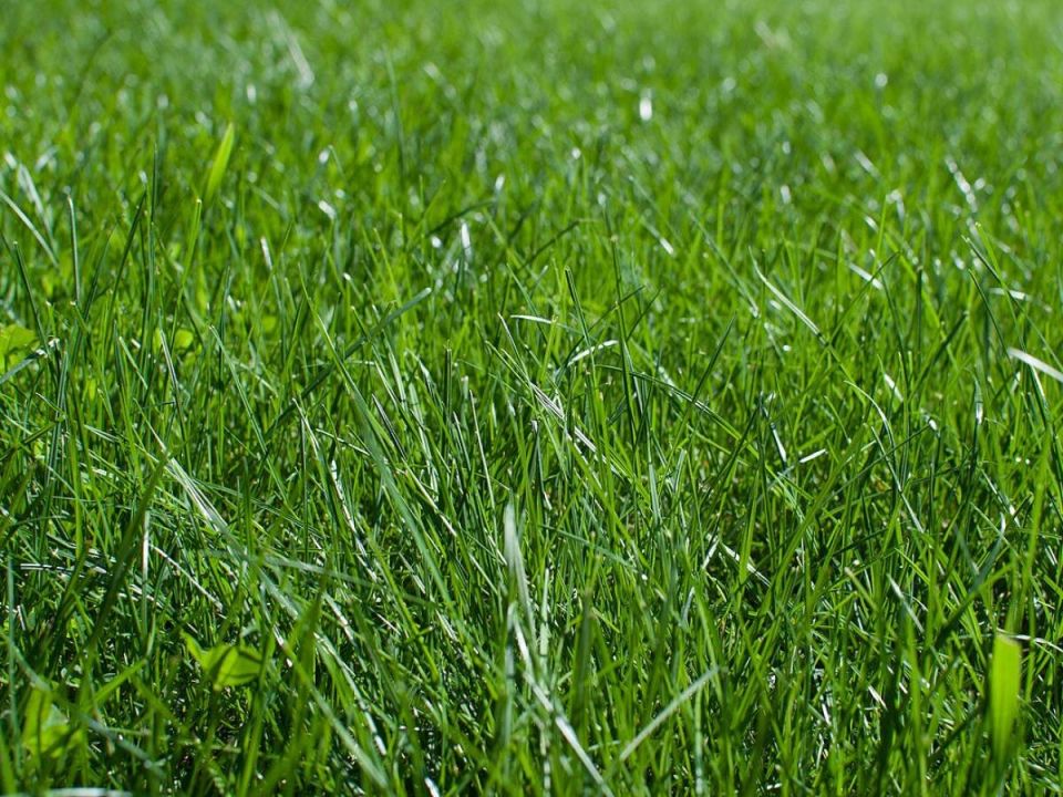 ��� ������� ������� ����������������� ��� ����: ������� � ����������� �������