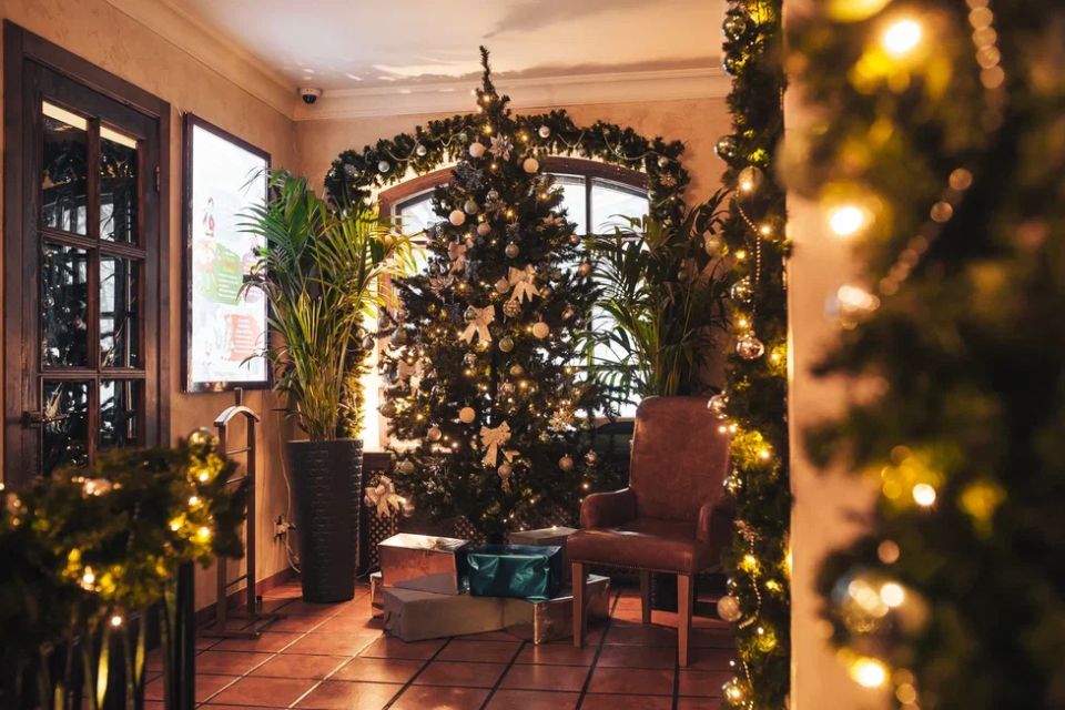 ����� ��� � ���������: 6 ������, ������ ��� �������� ����