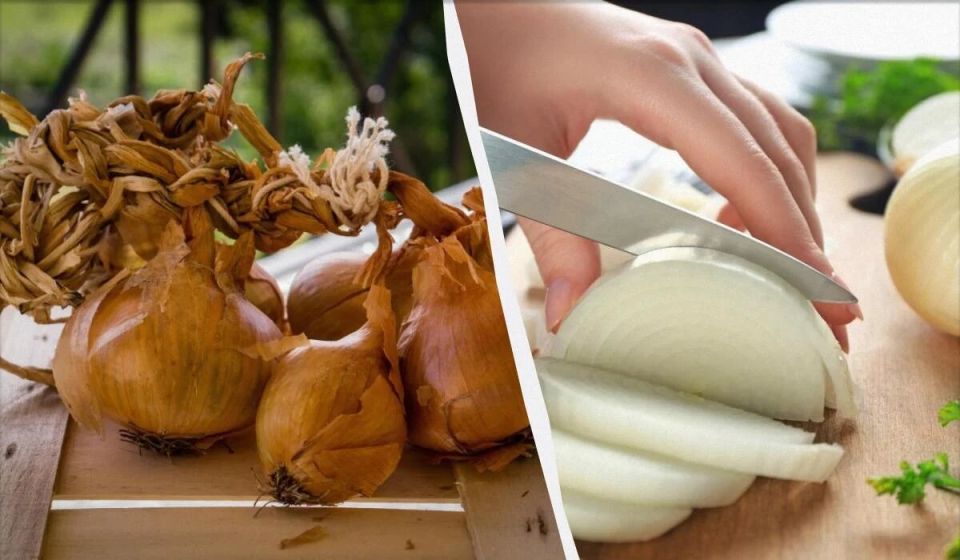 ��� ��������� ������� ���: ������� ������� ����������