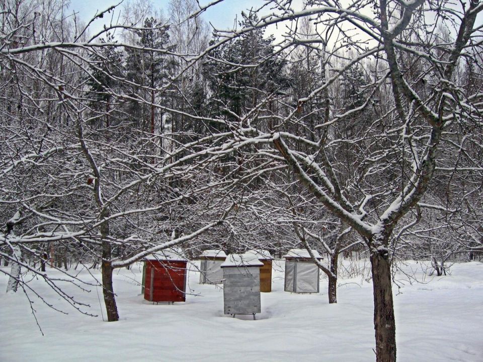 ��� ����������� ���� � ����: ������ ��������� ��� �������� ������� ����