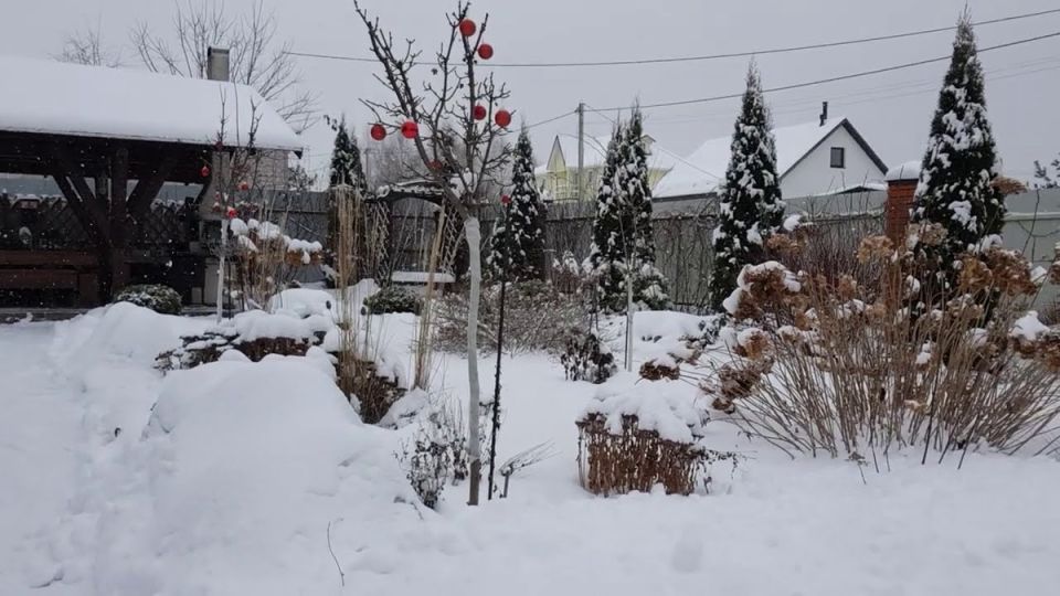 ��� �� �������� ������ ������ ������� � ����