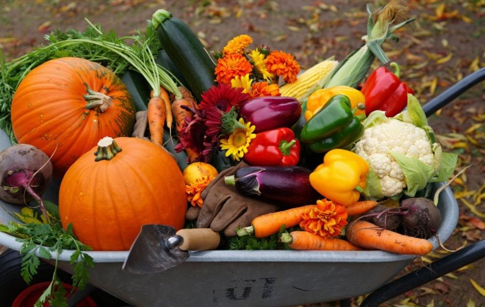 Как подготовить дачу к зиме: простые шаги на октябрь