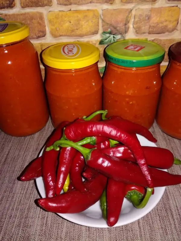 ������ ���� ����-�������: ��������� ��������� ��� ������ �������