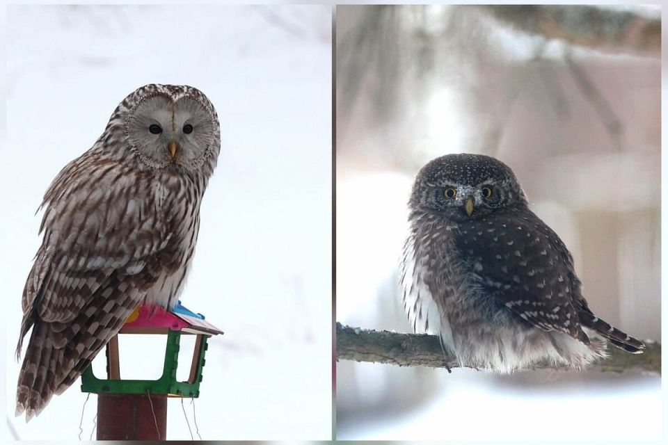 ��� ������ ������ �������� �������� ������ ������