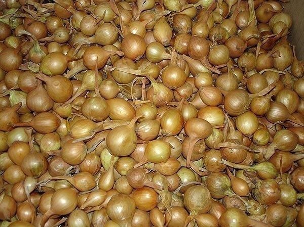 ������� �������� �������� ������� ����: ��� ������������� ������� ��������