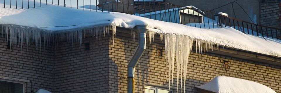 ��� ��������� �������� ����� �� ����� � �������?