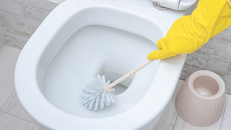 ��� ���������� �� ������� ������ � �������: ��������� ������� �������