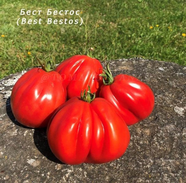 ����� ���� ������: ��������� ������� �������� ������ � �������� ������