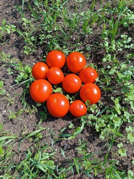 ����� ������: ������ ������ ����� ������ ��� ��������� ������