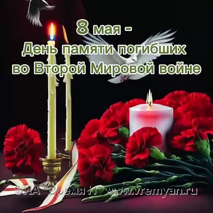 8  -   ,      