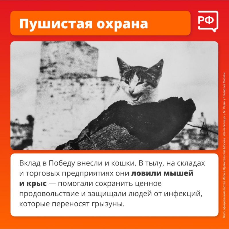       , , ,    ,     