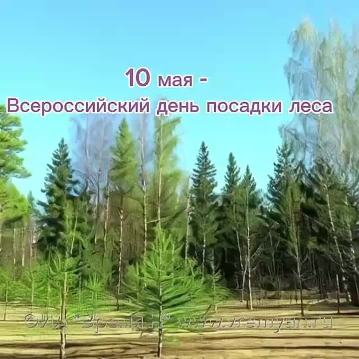 10 2025 -   