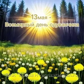 13  -   