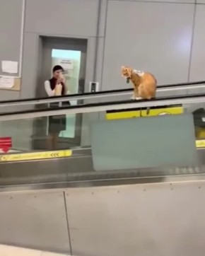  , !.      !