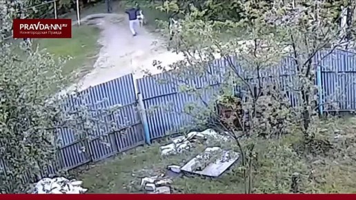      11-  -      