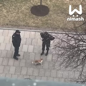         ,     