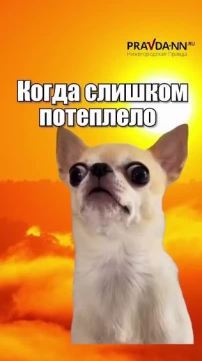 -2025   ,   -  