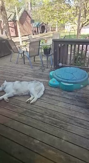          ,  