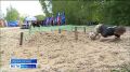 "Один день в армии". Спортивно-патриотические соревнования провели для автозаводских старшеклассников и студентов техникумов