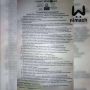 Мать нижегородского живодера видели в ННГУ на конференции