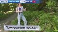 По статистике 10% из обследованных дерматологами слышат неутешительный диагноз - рак кожи