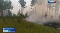 Высокая (4 класс) пожароопасность лесов и торфяников ожидается по Нижегородской области с 4 по 8 июня