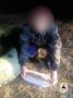 Сразу 3 браконьеров поймали полицейские в Дзержинске