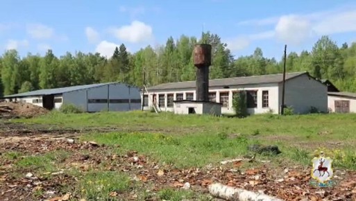 На лесоперерабатывающем предприятии в Семёновском округе трудились нелегалы