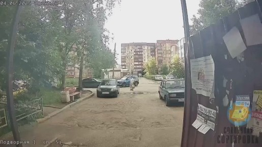Неизвестный мужчина стрелял в собаку на Сортировке