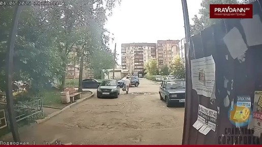 Жуть на Сортировке — там какой-то субъект средь бела дня ходит с оружием и стреляет по собакам