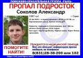 Внимание, в Сарове пропал 17-летний подросток!