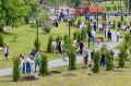90 туй украсили сквер имени Луначарского в Ленинском районе, который в этом году отмечает 90-летие