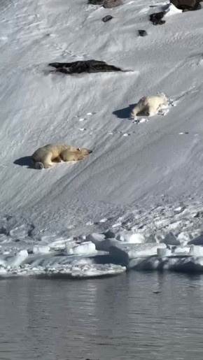 Сегодня в Нижнем обещают +32